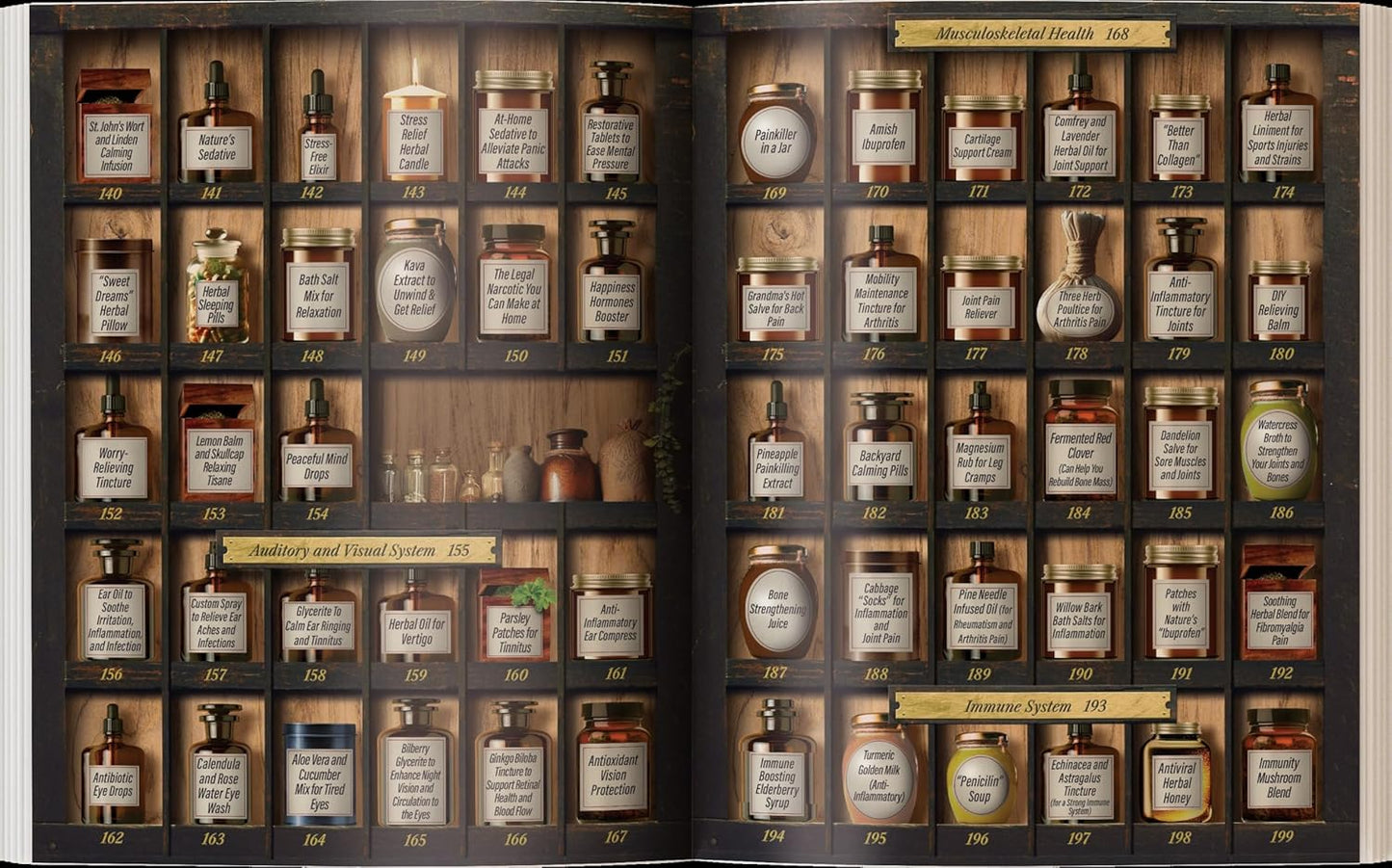 Forgotten Home Apothecary : 250 Powerful Remedies at Your Fingertips