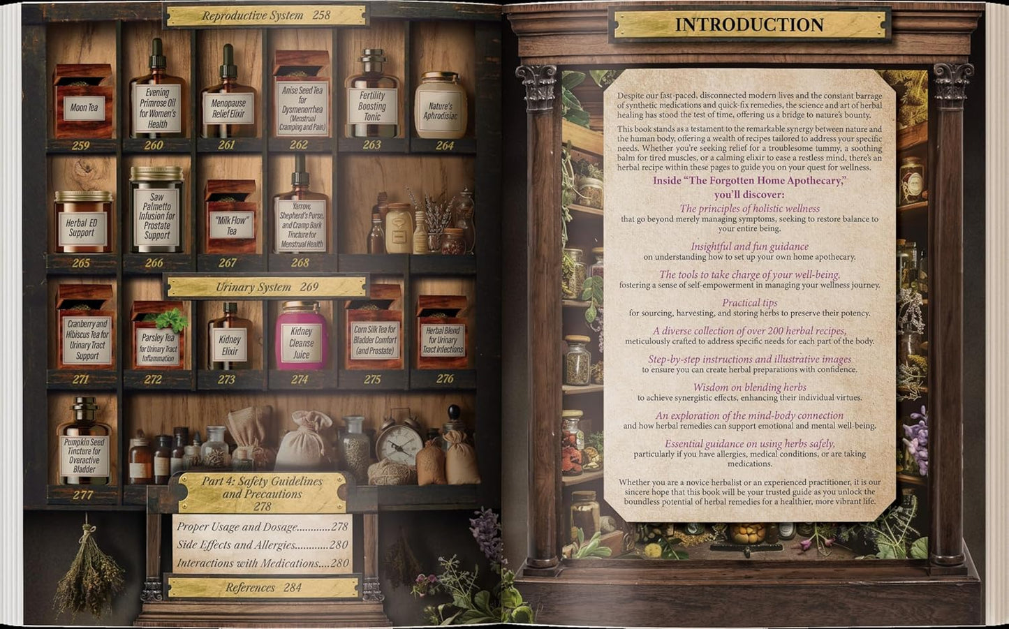 Forgotten Home Apothecary : 250 Powerful Remedies at Your Fingertips